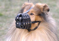 Leather Basket Dog Muzzle for Collie
