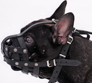 French Bulldog Light Weight Ventilation-small leatthe muzzle M41