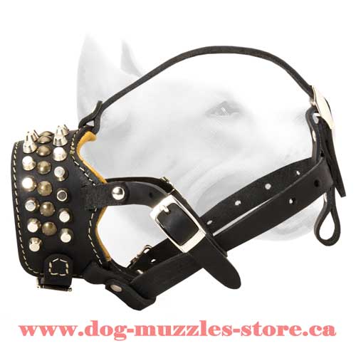 Gorgeous Leather Dog Muzzle