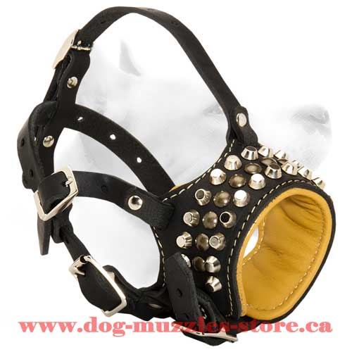 Astounding Leather Dog Muzzle