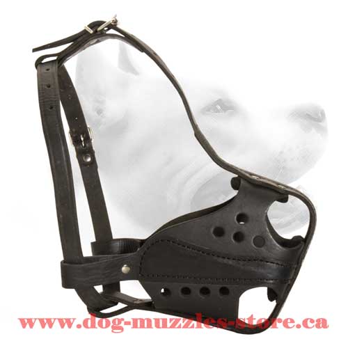 Strong Leather Dog Muzzle