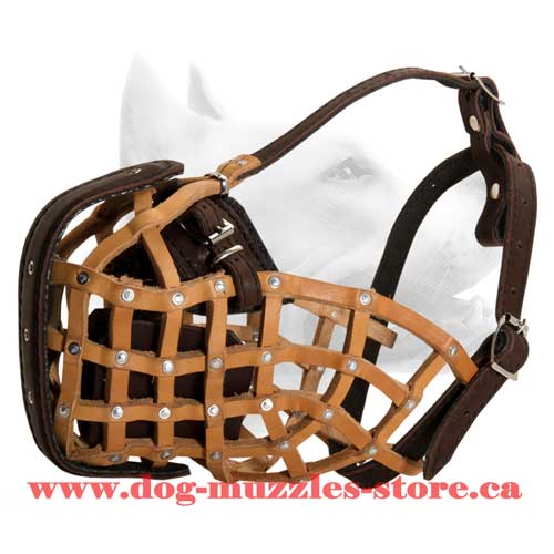 Safe Leather Dog Muzzle