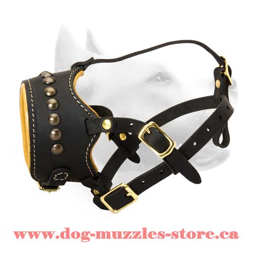 A-Grade Leather Dog Muzzle