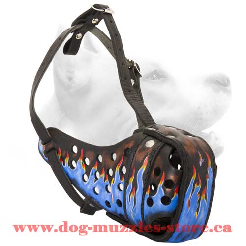 Stylish Leather Dog Muzzle For Agitation Training