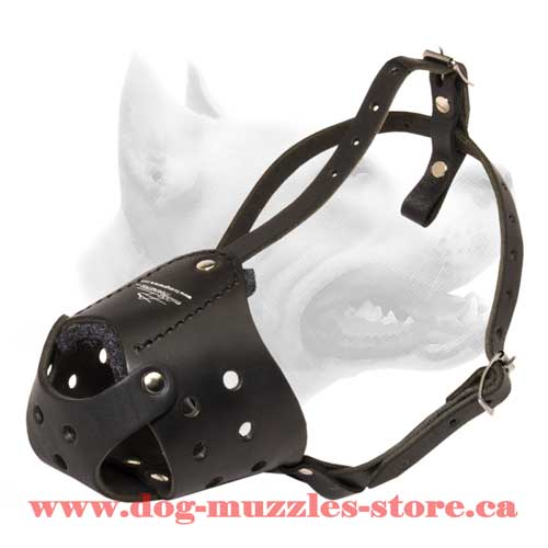 Leather Dog Muzzle For Active Dogs