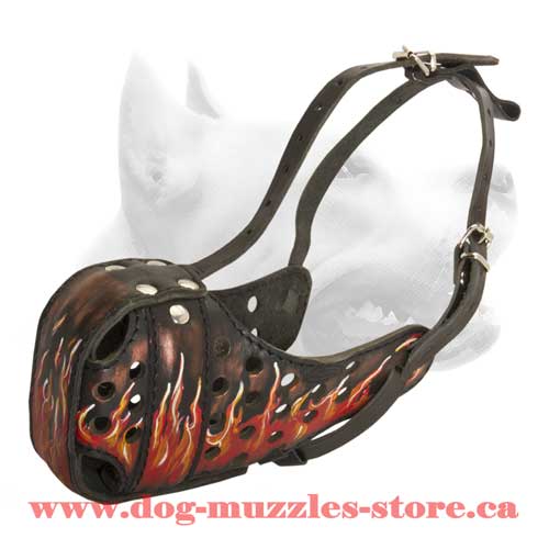 Leather Dog Muzzle For Attack Training