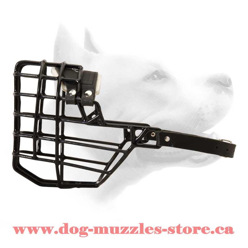 Dog muzzle store deals