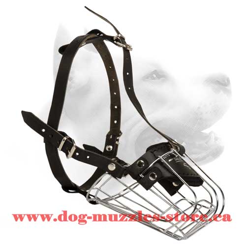 Unordinary Wire Cage Dog Muzzle