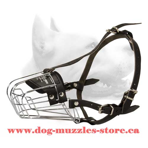 Ergonomic Design Wire Cage Dog Muzzle