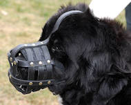 Leather Basket Dog Muzzle for Newfoundland