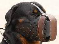 Agitation/Police Dog Muzzle For Rottweiler-Leather Muzzle