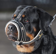 Rottweiler Leather Royal Nappa Dog Muzzle - padded dog muzzle
