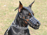 Leather Basket Dog Muzzle for Doberman