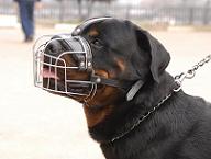 Rottweiler Muzzle - Wire Muzzle,Cage Muzzle,Basket Dog Muzzle For Rottweiler