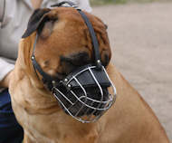 Bullmastiff Muzzle - Wire Muzzle,Cage Muzzle,Basket Dog Muzzle For Bullmastiff