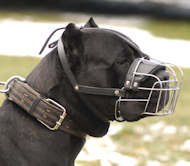 Cane Corso Muzzle - Wire Muzzle,Cage Muzzle,Basket Dog Muzzle For Cane Corso