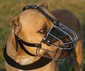 PitBull Muzzle - Wire Muzzle,Cage Muzzle,Basket Dog Muzzle For PitBull