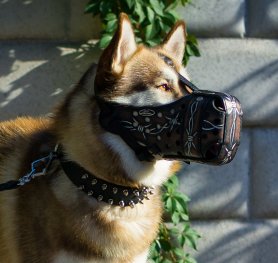 How to Choose a Dog Muzzle