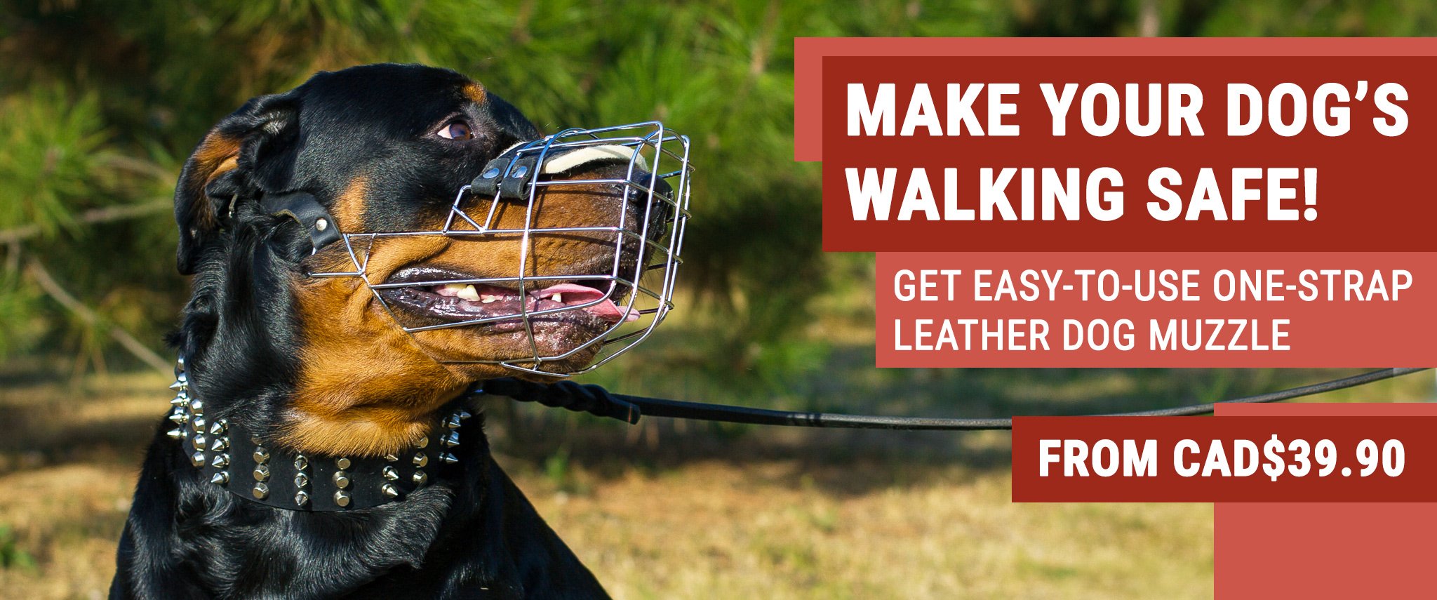 Dog muzzles,Leather Dog Muzzles,Wire Muzzles,Basket Dog Muzzle,Best dog muzzle,padded muzzles